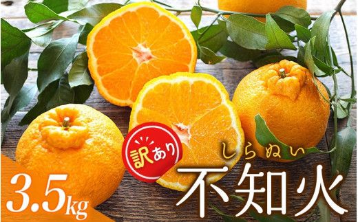 ご家庭用 訳あり 不知火 約3.5kg ＋痛み保証分 大小混合 〈2027年2月初旬～3月下旬までに順次発送〉 家庭用 訳アリ わけあり みかん ミカン フルーツ 果物 くだもの 不知火 しらぬい 不知火デコポン 蜜柑 柑橘 人気 予約 先行予約 数量限定【njb670E】