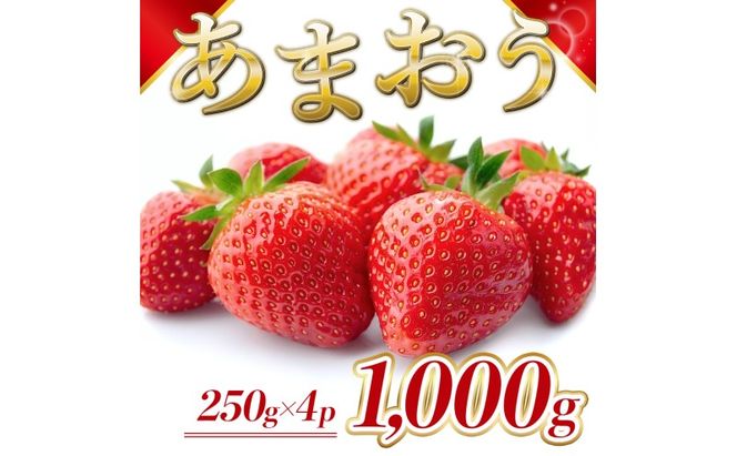 苺 福岡県産 あまおう 1000g（4パック） 先行予約 発送予定：2027年1月より順次発送 いちご イチゴ 果物 ※配送不可:離島
