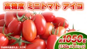 高糖度 ミニトマト アイコ 約1050g (150g×7パック)  ( 茨城県共通返礼品：大子町 )ミニトマト ぷちトマト 高糖度 甘い 新鮮 野菜 サラダ 弁当 リコピン 農家直送 産地直送 [FC208us]