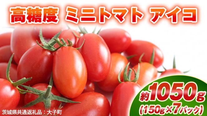 高糖度 ミニトマト アイコ 約1050g (150g×7パック)  ( 茨城県共通返礼品：大子町 )ミニトマト ぷちトマト 高糖度 甘い 新鮮 野菜 サラダ 弁当 リコピン 農家直送 産地直送 [FC208us]