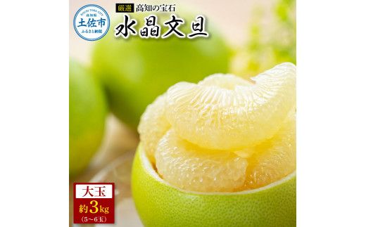 ＜厳選＞高知の宝石、水晶文旦3kg 〈2026年9月下旬～10月中旬発送〉先行予約 期間限定 水晶文旦 文旦 ブンタン ぶんたん 3キロ 柑橘 みかん フルーツ 果物 高知 名物 箱入り ギフト 高知県 土佐市【やの一果彩】[BQAC020]