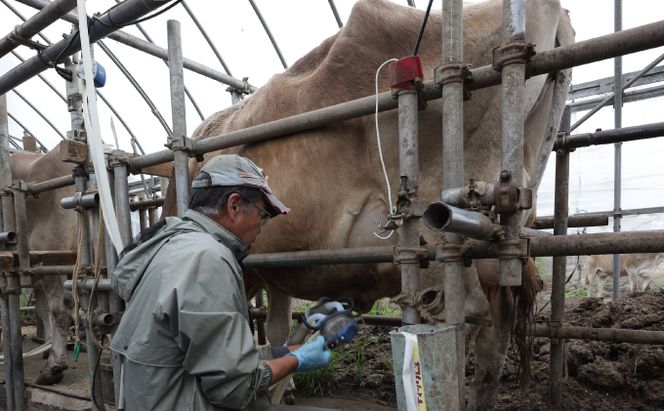 デザート感覚で食べる「湖水地方牧場の白いチーズとオリジナルバウムクーヘン」のペアリング提案 お菓子 スイーツ 乳製品 焼き菓子 セット 熟成 フレッシュチーズ 北海道産 おやつ 
