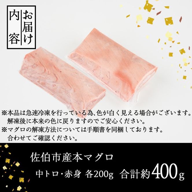 ＜緊急支援品＞佐伯市産本マグロ 中トロ・赤身 食べ比べ(合計約400g・中トロ200g・赤身200g) 数量限定 中とろ あかみ セット マグロ 鮪 刺身 さしみ 魚 海鮮 冷凍 大分県 佐伯市【DH258】【(株)ネクサ】