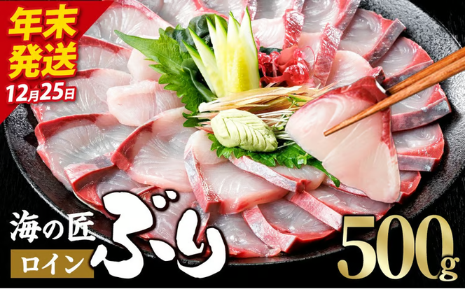 ＼2026年12月25日発送！先行予約／海の匠 ブリ スキンレスロイン (500g) ぶり 鰤 刺身 国産 魚 海産物 海鮮丼 ぶりしゃぶ 冷蔵 【JP002-1225】【三共物商】
