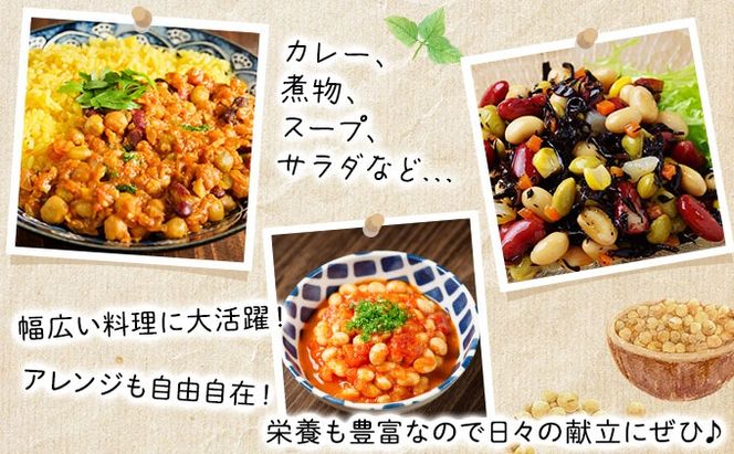 なまら推し大豆 12缶 大豆のドライパック 缶 北海道産 苫小牧 広域 缶詰 長期保存可 常温 非常食