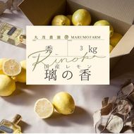 レモン りのか 3kg | 国産 れもん 璃の香 檸檬 ワックス 防腐剤 不使用 フルーツ くだもの 果物 数量限定 愛知県 美浜町 ※北海道・沖縄・離島への配送不可 ※2026年1月中旬～2月中旬頃に順次発送予定