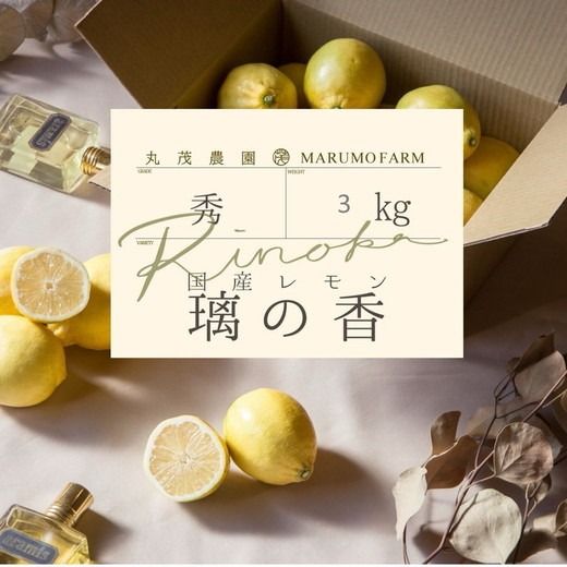 レモン りのか 3kg | 国産 れもん 璃の香 檸檬 ワックス 防腐剤 不使用 フルーツ くだもの 果物 数量限定 愛知県 美浜町 ※北海道・沖縄・離島への配送不可 ※2026年1月中旬～2月中旬頃に順次発送予定