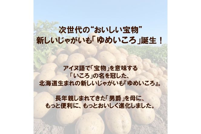 【予約：2026年10月上旬から順次発送】JAきたみらいから直送する新鮮じゃがいも「ゆめいころ」10kg (JAきたみらい JA 直送 じゃがいも いも 芋 ジャガイモ)【104-0019】