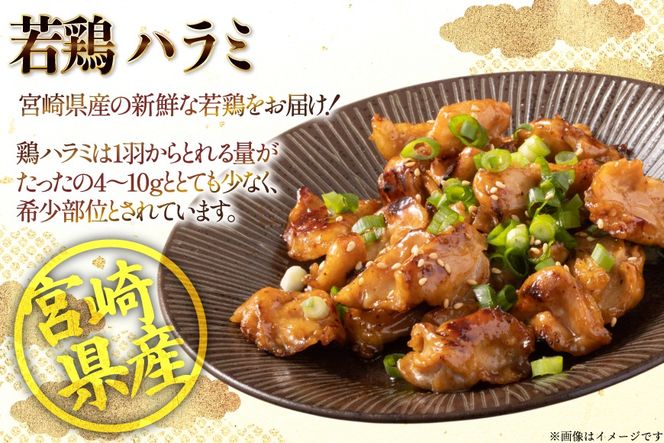 鶏肉 はらみ 宮崎県産 若鶏 ハラミ 300g 10p 計 3kg セット [TRINITY 宮崎県 日向市 452061343] 小分け 真空パック サガリ