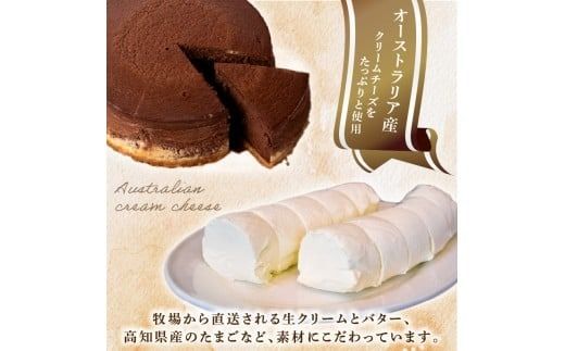 チーズケーキ チョコレートニューヨーク 手作り お土産 お取り寄せ 冷蔵 チーズ ケーキ チョコ お菓子 洋菓子 おやつ デザート 手づくりチーズケーキ工房 ちーず屋 手作りちーずけーき 高知県 安芸市 BC007