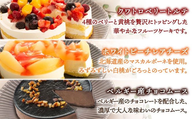 フルーツ / チョコムース / レアチーズ ホールケーキ 3種 冷凍 糸島市 / 五洋食品産業 [AQD017] お祝い バースデー クリスマス 誕生日ケーキ 冷凍ケーキ 詰め合わせ