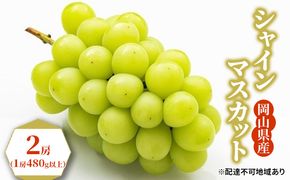 ぶどう 2026年 先行予約 シャイン マスカット 2房（1房480g以上） ブドウ 葡萄  岡山県産 国産 フルーツ 果物 ギフト 果物類 シャインマスカット 