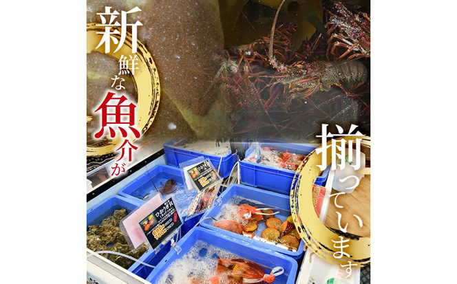 冷凍 天然活きトコブシ (約400g・ハーフサイズ) 魚介 貝 トコブシ とこぶし 網焼き バター焼き バーベキュー 獲れたて 冷凍 海の直売所 大分県 佐伯市【AS149】【海べ】