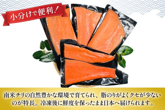 訳あり サーモン 刺身 とろサーモン 約200g×5パック 計1kg[たみこの海パック 宮城県 南三陸町 m304amh560072] 魚 魚介類 海鮮 さしみ 生食 鮭 さけ トラウト ハラミ トロ 冷凍 小分け