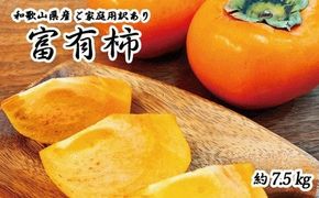 【ご家庭用わけあり】和歌山秋の味覚　富有柿　約7.5㎏【uot719A】