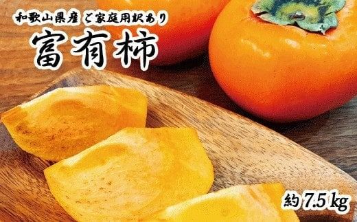 【ご家庭用わけあり】和歌山秋の味覚　富有柿　約7.5㎏【uot719A】
