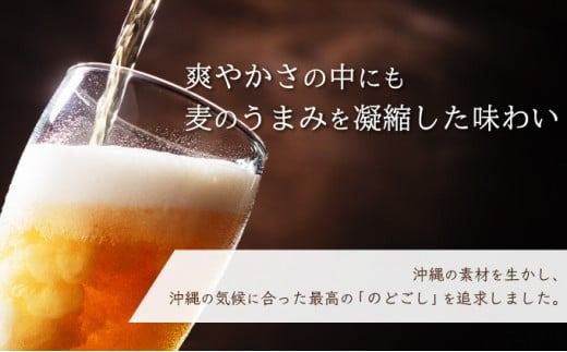 価格改定！オリオンビール ザ・ドラフト 350ml缶24本　J-18-2