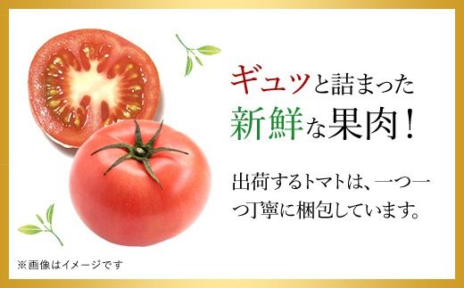 【先行予約/10月中旬発送開始】松村さんちのトマト1箱（20～24個・約4kg）SMAE002 / トマト とまと 野菜 夏野菜 先行予約 千葉県 山武市