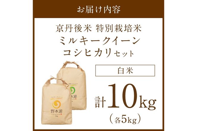 2026年産 京丹後米 特別栽培米ミルキークイーン＆丹後コシヒカリ 各5kg（白米） 農家直送 米 こめ ふるさと 納税 米 精米 新米 京都産　NO00038