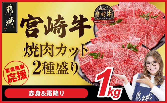 畜産農家応援! 宮崎牛焼肉2種セット500g×2パック_19-N2-002-1000