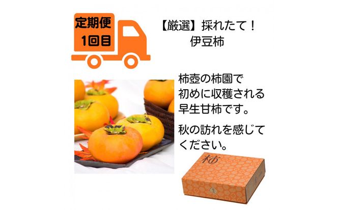 【全4回定期便】【柿専業の農家が作る】出雲の柿3種と旬をたのしむごほうび【2026年10月以降発送】 322032_BK009