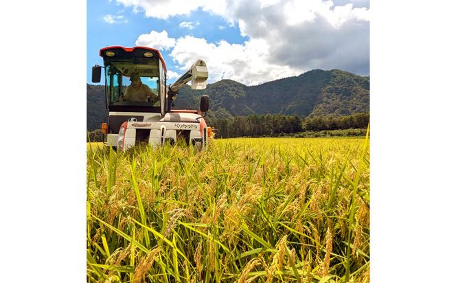 1105.令和7年産　きぬむすめ精米 10kg 313726_CI002