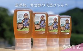 合計1200g 天然蜂蜜 国産蜂蜜 非加熱 生はちみつ 岐阜県 美濃市産 春 (蜂蜜300g入りピタッとボトル4本セット)A12 深田養蜂のハチミツ