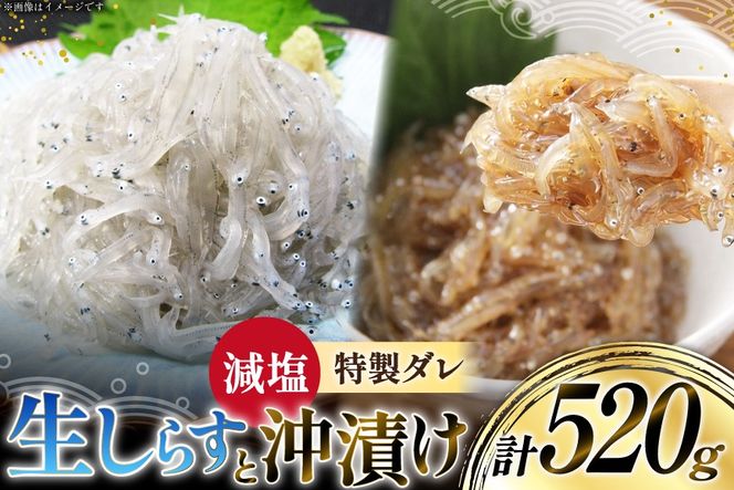 生しらす 160ｇｘ2パック と沖漬け 100g ✕ 2パック 計520g 食べ比べ 小分け セット [丸三水産 静岡県 吉田町 22424697] しらす シラス 冷凍 海鮮 ご飯のお供