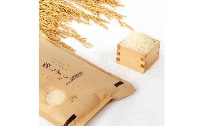 令和7年産！魚沼産コシヒカリ【農家直送!】 6kg(2kg×3袋) お米 米 コメ 