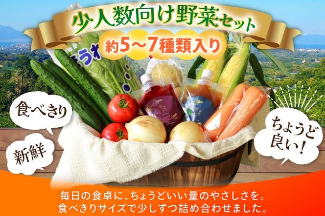 AJ313 野菜セット 5〜7品目 しそジュース付き [ 野菜 詰め合わせ 少人数用 一人暮らし 二人暮らし シソジュース 紫蘇ジュース 長崎県 島原市 ]