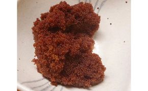 北海道産 たらばかに 外子醤油漬け 150g×3個 珍味 加工品 蟹 卵 タラバガニ タラバ