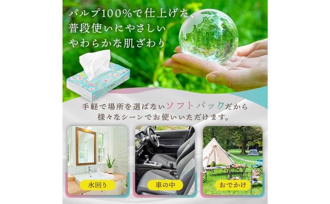 エリエール i:na（イーナ）ソフトパックティシュー　150W10P×1パック 【0095-014-1】