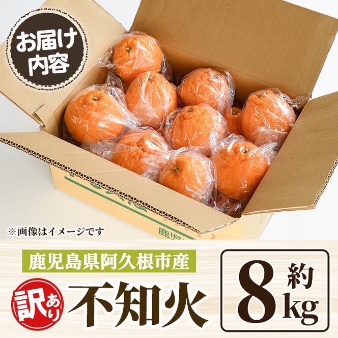 ＜先行予約受付中！2027年3月上旬以降順次発送予定＞ 訳あり！露地栽培の不知火(約8kg) 国産 不知火 しらぬい 柑橘 果物 フルーツ デザート 露地 果実 期間限定 数量限定 【古田果樹園】akn093-09
