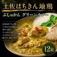 土佐はちきん地鶏 グリーンカレー 12箱 180g チキンカレー おすすめ curry かれー かれーらいす 惣菜 おかず 夕食 詰め合わせ セット レトルトカレー レトルト食品 ご当地グルメ 国産 地域限定 カレー 人気 カレー 辛口 カレーセット 高知県 室戸市