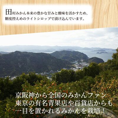 AY6004n_田村みかん 缶詰 8缶セット【フルーツ缶 フルーツ缶詰 みかん 有田みかん 和歌山産】