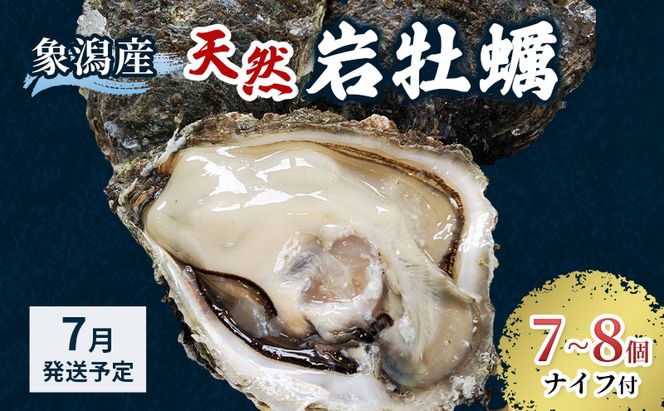 【 先行予約 7月上旬～下旬発送予定】象潟産 天然岩牡蠣 7～8個 ナイフ付【 牡蠣 夏牡蠣 かき 象潟 生食可 魚介類 海鮮 海産物 海の幸 】
