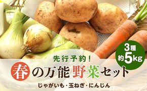【2027年5月下旬～発送】【先行予約！】春の万能野菜セット 約5kg / じゃがいも 玉ねぎ 人参  旬野菜 詰め合わせ / 南島原市 / 長崎県農産品流通合同会社 [SCB064]