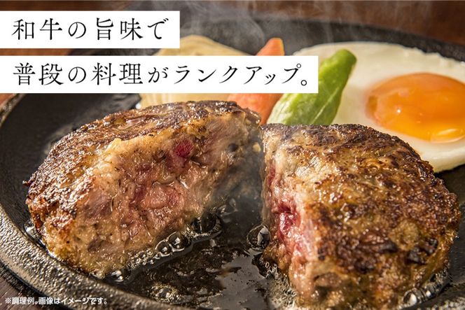 牛肉 和牛 宮崎県産和牛 あらびき GOKUARAミンチ 500g×各1P 計1kg [日本ハムマーケティング 宮崎県 日向市 452060966] 肉 牛 挽き肉 粗挽き ミンチ 精肉 冷凍 ひき肉 ハンバーグ