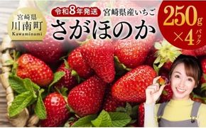 【令和8年発送】　宮崎県産いちご　「さがほのか」250ｇ×4パック 【 先行予約 期間限定 果物 イチゴ 苺 フルーツ 】 [C03802]
