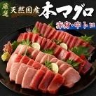 【数量限定】 天然 本マグロ 中トロ・赤身 500g 国産 魚 高知県 室戸市 刺身 刺し身 漬け丼 海鮮丼 おかず 魚介類 海鮮 海産物 まぐろ 本まぐろ 鮪 ブロック 惣菜 冷凍 スピード発送