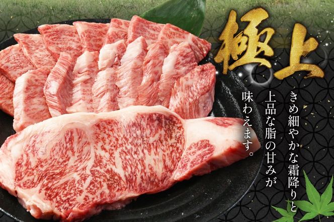 AJ465 長崎和牛 ロースステーキ バラ 焼肉 セット 500g [ 牛肉 肉 和牛 お肉 焼肉 焼き肉 ロース バラ肉 ステーキ 国産 冷凍 真空パック 記念日 誕生日 ブランド おすすめ 夜ご飯 柔らか ジューシー BBQ バーベキュー トライアルストアーズ 長崎県 島原市 ]