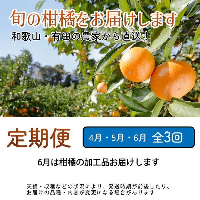 家庭用 柑橘定期便M（4～6月）全3回 ［IKE311］ 303446_BB90220