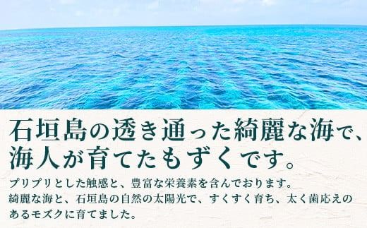 石垣島産 海人の味付け海雲(もずく) 3kg （250g×12） KS-2