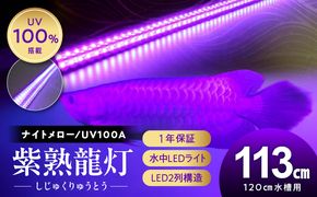 紫外線100%LEDで紅龍・金龍の色彩を引出す水中ライト|UVA100-120EX［172C22］紅龍 金龍 ナイトメロー 水中 アロワナ 水槽ライト テンニングライト 紫外線 100% LED ライト 照明 水中照明 光 綺麗 強化ガラス 吸盤 1年保証 簡単 設置 でんらい インテリア 雑貨 愛知県 小牧市 送料無料