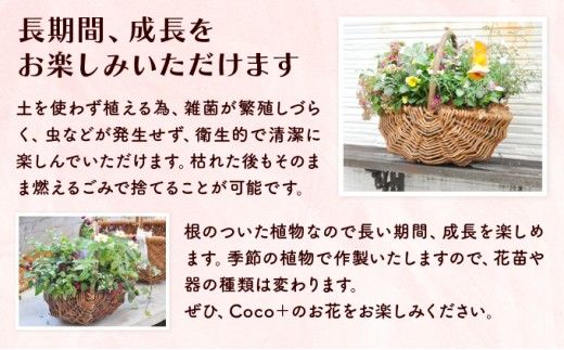 【選べる回数】季節のお花が楽しめる☆お花屋さん 通常便 1回 定期便 3回 5回 ブリコラージュフラワー 寄せ植え 15~20株