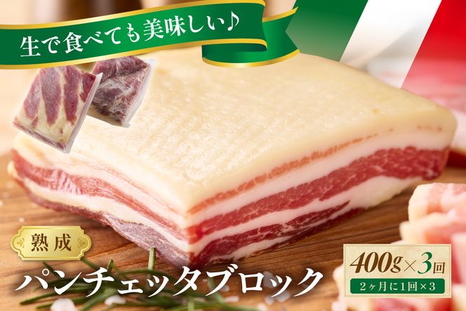 【定期便 隔月×3回】パンチェッタブロック（豚バラ肉の塩漬け）　約200g×2袋 ふるさと納税 豚肉 塩漬け ふるさと納税 ベーコン ふるさと納税 パンチェッタ 豚バラ 塩漬け スペイン料理　NI00024