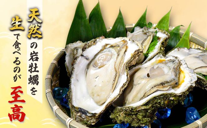 【先行予約 7月上旬～下旬発送予定】象潟産 天然岩牡蠣 13～15個 ナイフ付【牡蠣 夏牡蠣 かき 象潟 生食可 魚介類 海鮮　海産物 海の幸】　