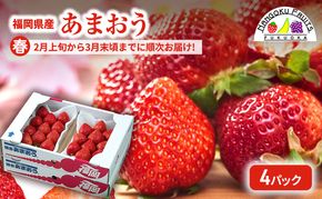 【春】福岡産あまおう4パック いちご  苺 イチゴ フルーツ 果物 ※配送不可:離島