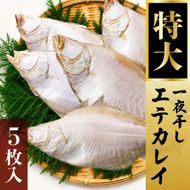 特大エテカレイ 一夜干し 5枚 [ カレイ 干物 小分け 個包装 ] myz02 myz11 myz17