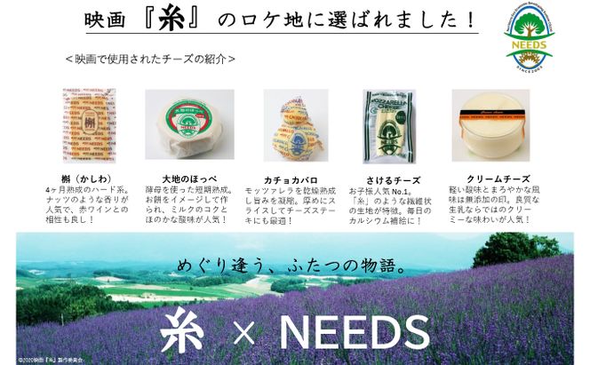 【メディアで多数紹介】 北海道 十勝 チーズアソート11種 / プレミアム食べ比べセット [チーズ工房NEEDS]【 チーズ 詰合せ セット バラエティ 槲 かしわ ラクレット モッツァレラ 大地のほっぺ さけるチーズ ミルクジャム 】